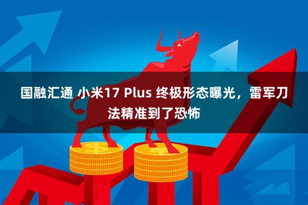 国融汇通 小米17 Plus 终极形态曝光，雷军刀法精准到了恐怖